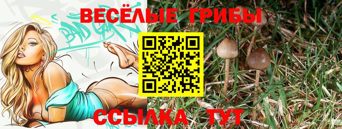 Псилоцибиновые грибы мицелий Реж